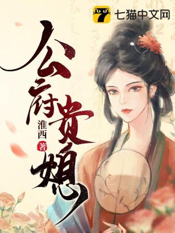 公府贵媳讲什么