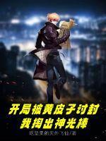 我掏出神光棒百度百科