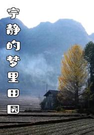 宁静的梦想