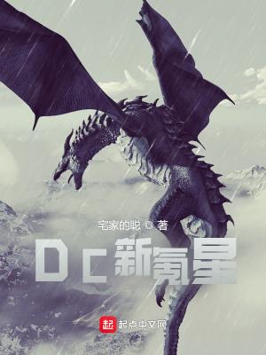 Dc新氪星TXT全本阅读