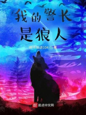 我的警察先生