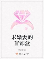 未婚妻的首饰盒 林又安