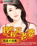 我的校花老婆txt电子书