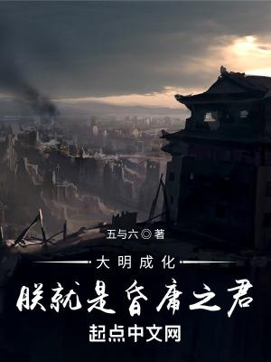 大明成化朕就是昏庸之君笔趣阁