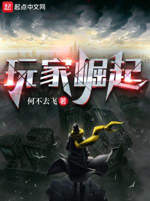 你只是个玩家罢了起点