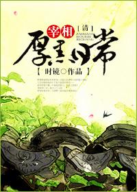 大清宰相厚黑日常简介