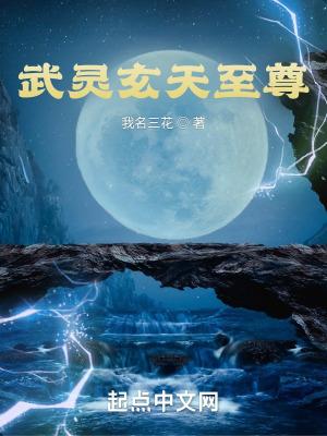 玄武至尊