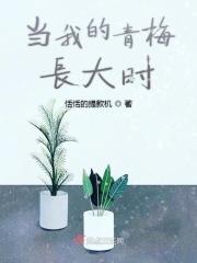 我的青梅特别甜