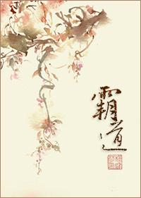 霸道2700最新价格