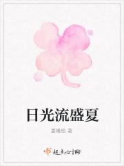 夏日流光在线阅读