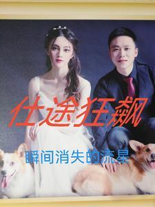 仕途狂飙林晓