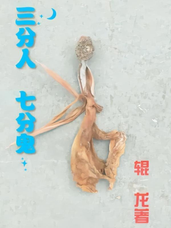 三分人七分鬼谜底是什么