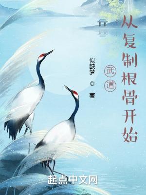 武道从复制根骨开始无错版
