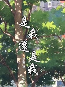 是我还是我歌词