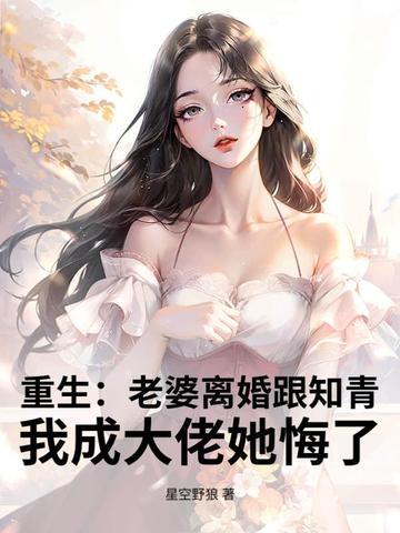 重生老婆要离婚的