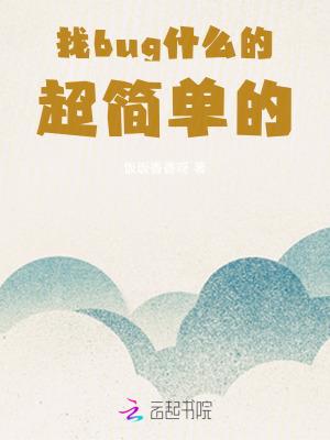 找bug软件