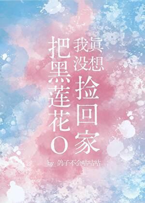 我真没想洗白快穿
