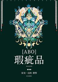 什么叫瑕疵