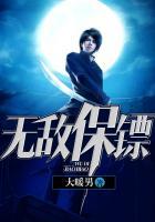无敌保镖破长空免费观看电视剧