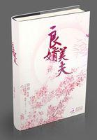 良婿美夫女尊