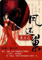重生之凤还巢…短剧