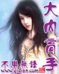 大内高手剧情介绍