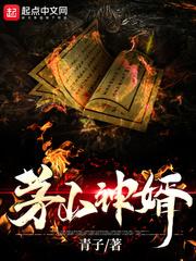 茅山神婿陆青羽