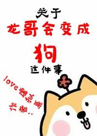 龙哥的作品