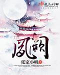 凤阙劫短剧