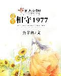 重生相守1977年沈月华全文免费阅读