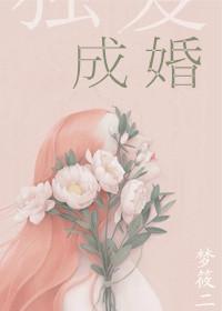 独宠成婚梦筱二免费阅读