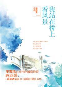 我站在桥上看风景片头曲