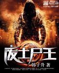 废土之王wiki百科