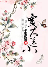 买大送细是什么意思