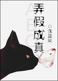 弄假成真一盒雨