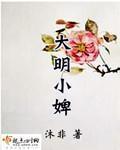 大明小婢女笔趣阁