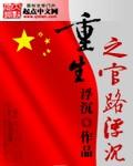 重生之官路浮沉字数